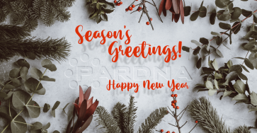 Season's Greetings and Happy New Year